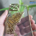 قاب گوشی آیفون 15 پرو مکس (کاور Unique محافظ لنز دار طرح بال پروانه آکواریومی رنگ طلایی)